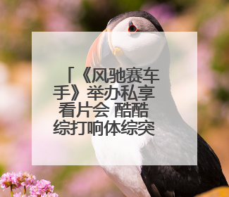 《风驰赛车手》举办私享看片会 酷酷综打响体综突围战