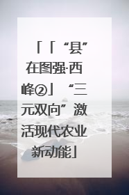 「“县”在图强·西峰②」“三元双向”激活现代农业新动能