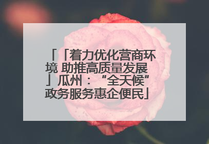 「着力优化营商环境 助推高质量发展」瓜州：“全天候”政务服务惠企便民