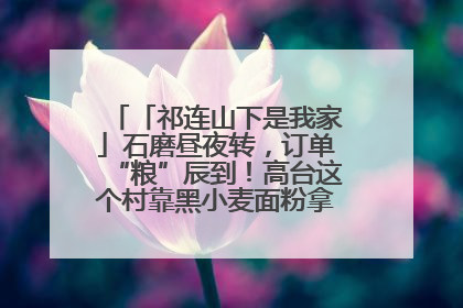 「祁连山下是我家」石磨昼夜转，订单“粮”辰到！高台这个村靠黑小麦面粉拿下成立来最大订单