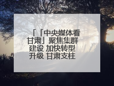 「中央媒体看甘肃」聚焦集群建设 加快转型升级 甘肃支柱产业增势强劲