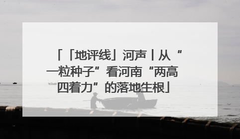 「地评线」河声丨从“一粒种子”看河南“两高四着力”的落地生根