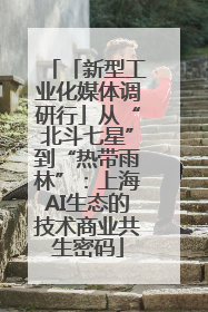 「新型工业化媒体调研行」从“北斗七星”到“热带雨林”：上海AI生态的技术商业共生密码