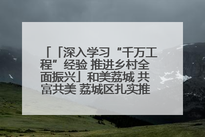 「深入学习“千万工程”经验 推进乡村全面振兴」和美荔城 共富共美 荔城区扎实推进乡村振兴工作