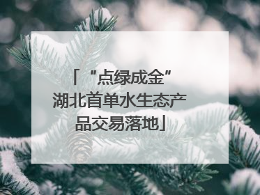 “点绿成金” 湖北首单水生态产品交易落地