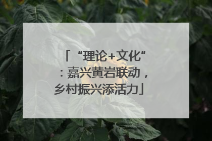 “理论+文化”：嘉兴黄岩联动，乡村振兴添活力