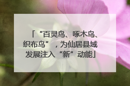 “百灵鸟、啄木鸟、织布鸟”，为仙居县域发展注入“新”动能