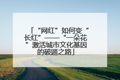 “网红”如何变“长红”——“一朵花”激活城市文化基因的破题之路