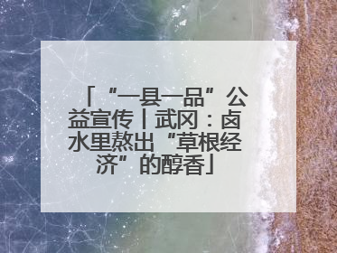 “一县一品”公益宣传丨武冈：卤水里熬出“草根经济”的醇香