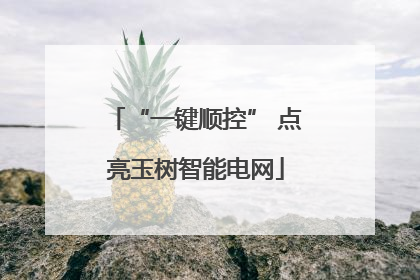 “一键顺控” 点亮玉树智能电网