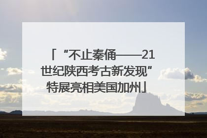 “不止秦俑——21世纪陕西考古新发现”特展亮相美国加州
