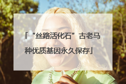 “丝路活化石”古老马种优质基因永久保存