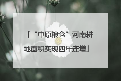 “中原粮仓”河南耕地面积实现四年连增