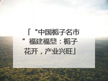 “中国栀子名市”福建福鼎：栀子花开，产业兴旺
