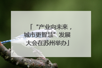 “产业向未来，城市更智慧”发展大会在苏州举办