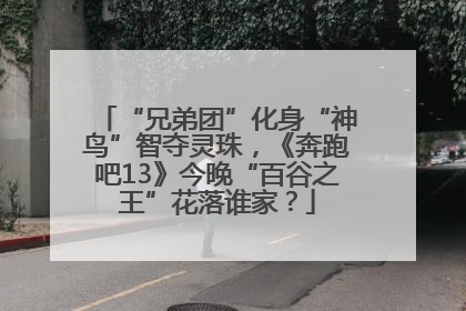 “兄弟团”化身“神鸟”智夺灵珠，《奔跑吧13》今晚“百谷之王”花落谁家？
