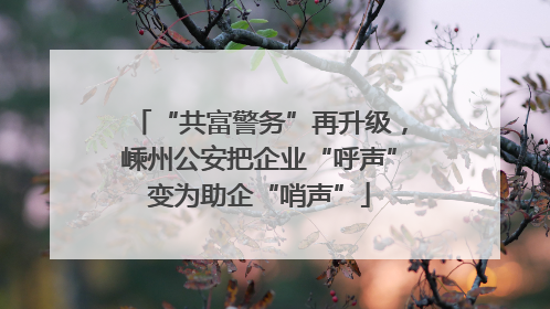 “共富警务”再升级，嵊州公安把企业“呼声”变为助企“哨声”
