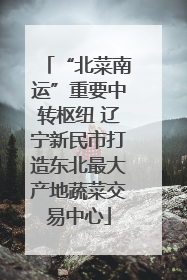 “北菜南运”重要中转枢纽 辽宁新民市打造东北最大产地蔬菜交易中心