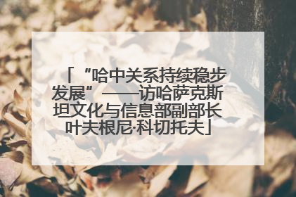 “哈中关系持续稳步发展”——访哈萨克斯坦文化与信息部副部长叶夫根尼·科切托夫
