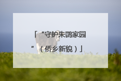 “守护朱鹮家园”（侨乡新貌）
