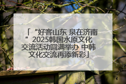 “好客山东 泉在济南”2025韩国水原文化交流活动圆满举办 中韩文化交流再添新彩