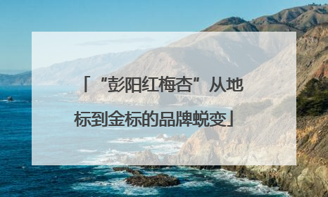 “彭阳红梅杏”从地标到金标的品牌蜕变