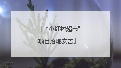 “小红村超市”项目落地安吉