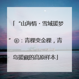 “山海情・雪域援梦”⑧：青稞变金稞，青岛援藏的高原样本