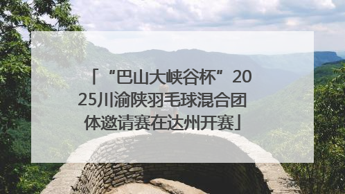 “巴山大峡谷杯”2025川渝陕羽毛球混合团体邀请赛在达州开赛