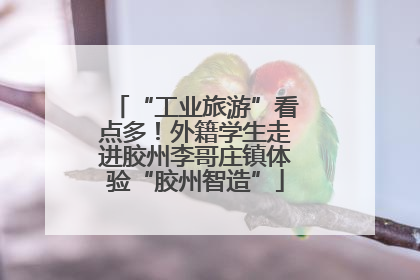 “工业旅游”看点多！外籍学生走进胶州李哥庄镇体验“胶州智造”