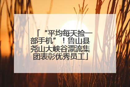 “平均每天捡一部手机”！鲁山县尧山大峡谷漂流集团表彰优秀员工