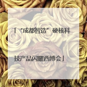 “成都智造”硬核科技产品闪耀西博会
