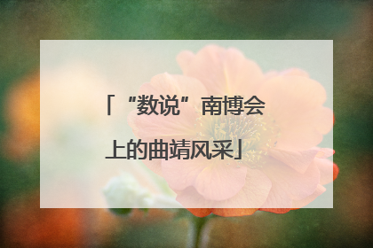 “数说”南博会上的曲靖风采