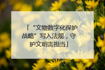 “文物数字化保护战略”写入法规，守护文明需担当
