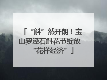 “斛”然开朗！宝山罗泾石斛花节绽放“花样经济”
