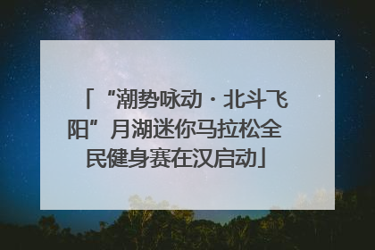 “潮势咏动・北斗飞阳”月湖迷你马拉松全民健身赛在汉启动