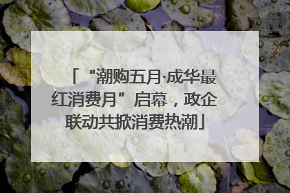 “潮购五月·成华最红消费月”启幕，政企联动共掀消费热潮