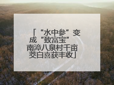 “水中参”变成“致富宝” 南漳八泉村千亩茭白喜获丰收
