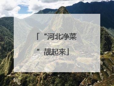 “河北净菜”靓起来