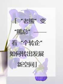 “老熊”变“熊总”——看“个转企”如何转出发展新空间