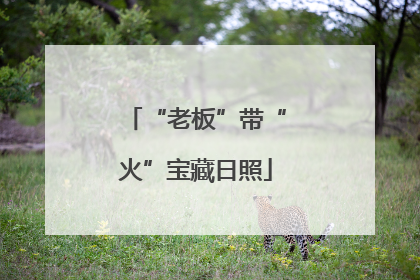 “老板”带“火”宝藏日照