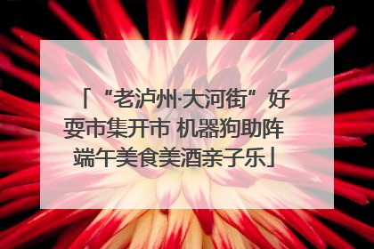 “老泸州·大河街”好耍市集开市 机器狗助阵端午美食美酒亲子乐