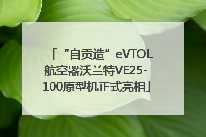 “自贡造”eVTOL航空器沃兰特VE25-100原型机正式亮相