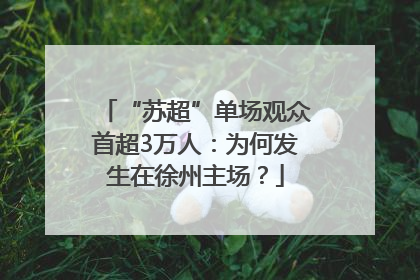 “苏超”单场观众首超3万人：为何发生在徐州主场？
