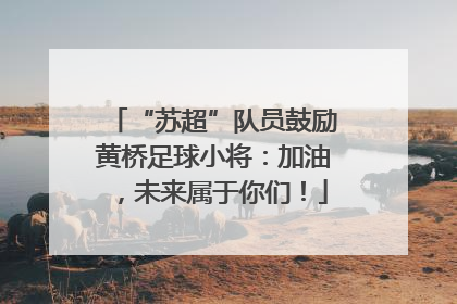 “苏超”队员鼓励黄桥足球小将：加油，未来属于你们！