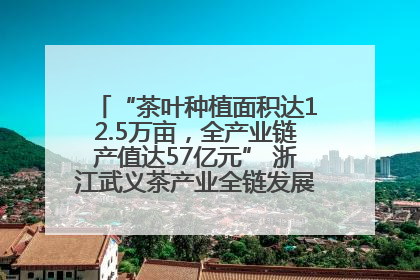 “茶叶种植面积达12.5万亩，全产业链产值达57亿元” 浙江武义茶产业全链发展“加速度”