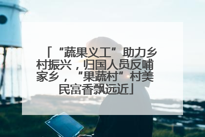 “蔬果义工”助力乡村振兴，归国人员反哺家乡，“果蔬村”村美民富香飘远近