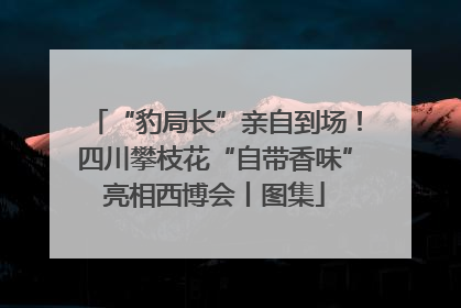 “豹局长”亲自到场！四川攀枝花“自带香味”亮相西博会丨图集