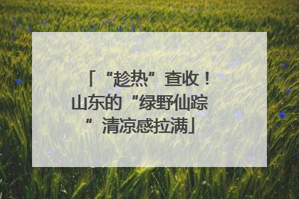 “趁热”查收！山东的“绿野仙踪”清凉感拉满