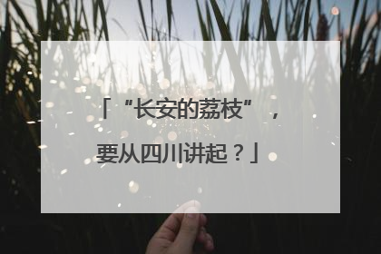 “长安的荔枝”，要从四川讲起？